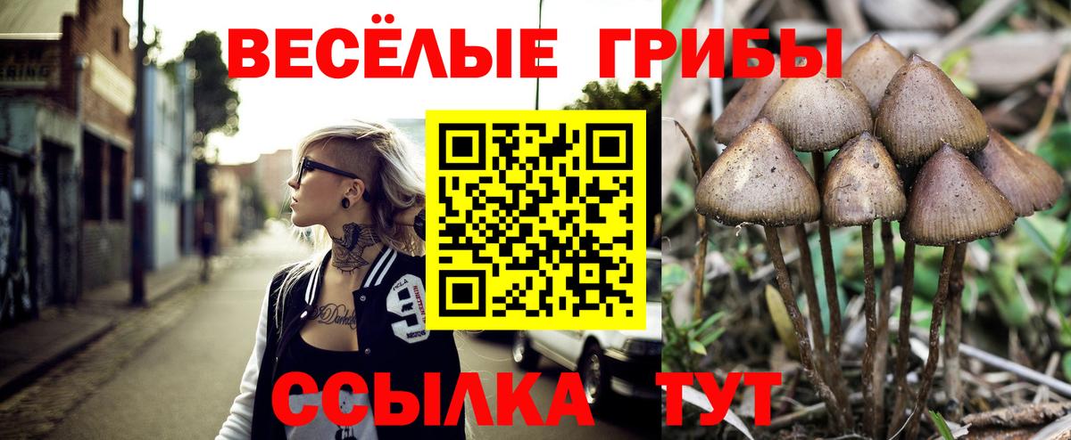 АМФЕТАМИН кристаллы  Гашиш  Вход с VPN  Цена  КОКАИН  Нижнекамск  ГАШИШ  Мефедрон  