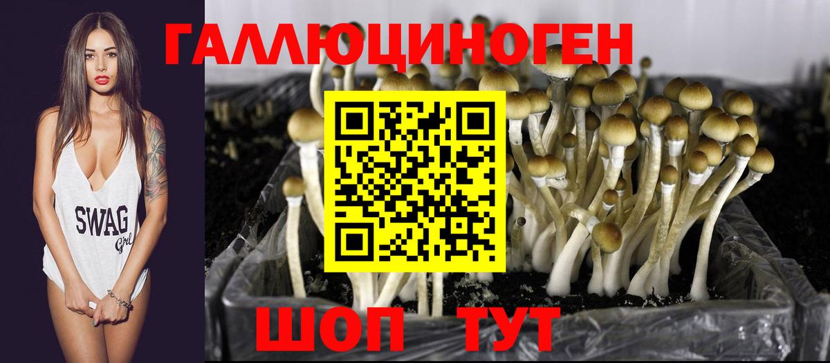 Псилоцибиновые грибы MAGIC MUSHROOMS Нижнекамск