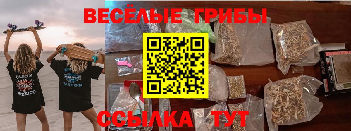 Нижнекамск  Псилоцибиновые грибы мухоморы  Вход с VPN 